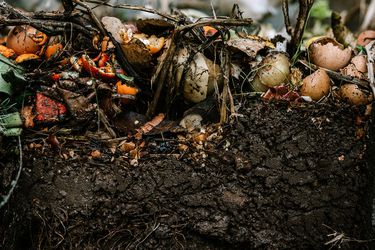 各种蔬菜、水果、院子里的剪枝和其他东西变成营养丰富、肥沃的土壤，用于园艺和种植。