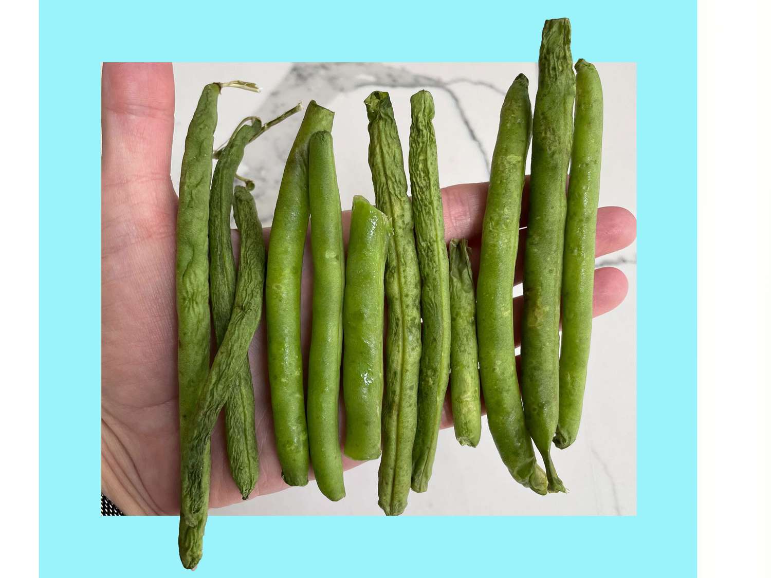 Overhead view of green beans in hand