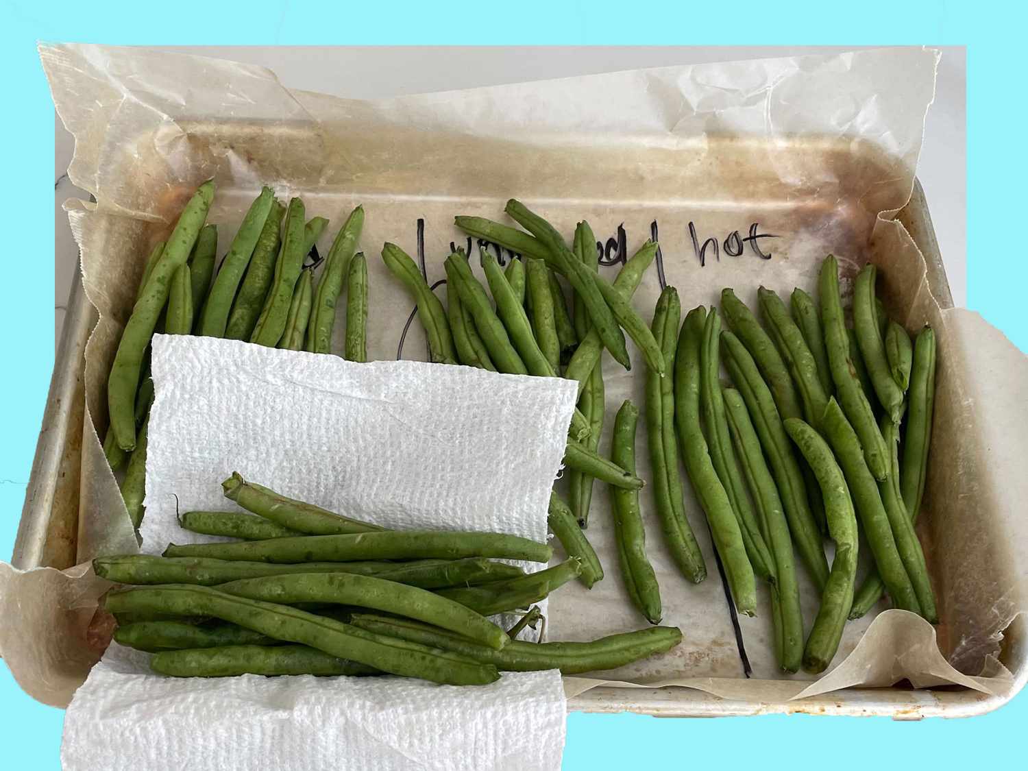 Overhead view of green bean test