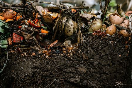 Assorted vegetable, fruit, yard clippings, and other things turn into nutrient rich and fertile soil for gardening and planting.