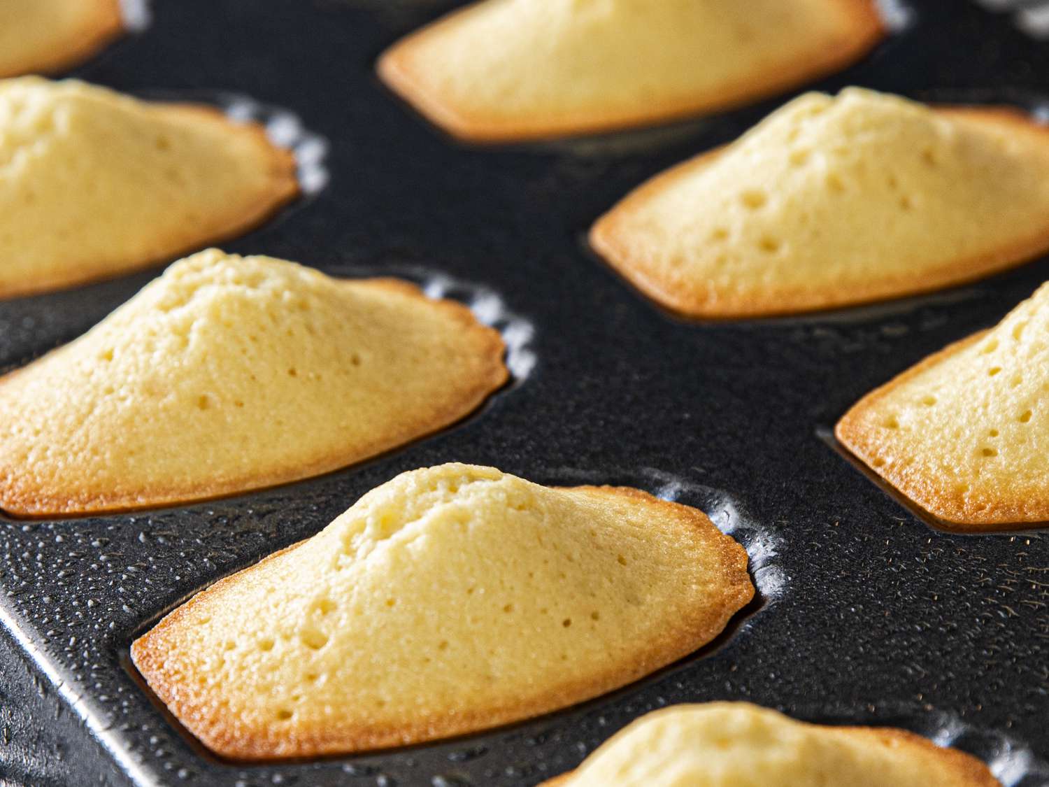 Puffed madeleines in tin