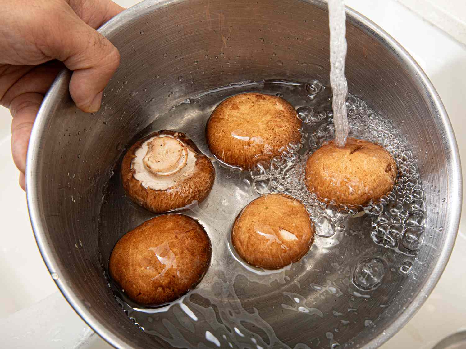 View of washing mushrooms