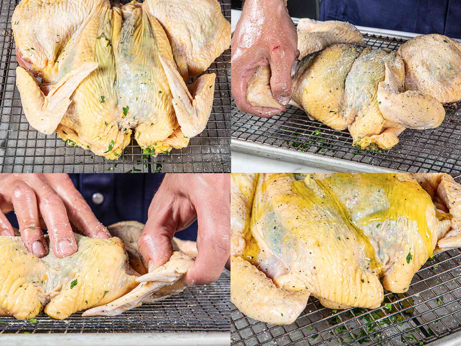 Using two hands to tuck a raw, spatchcocked chicken's wings behind back before roasting.