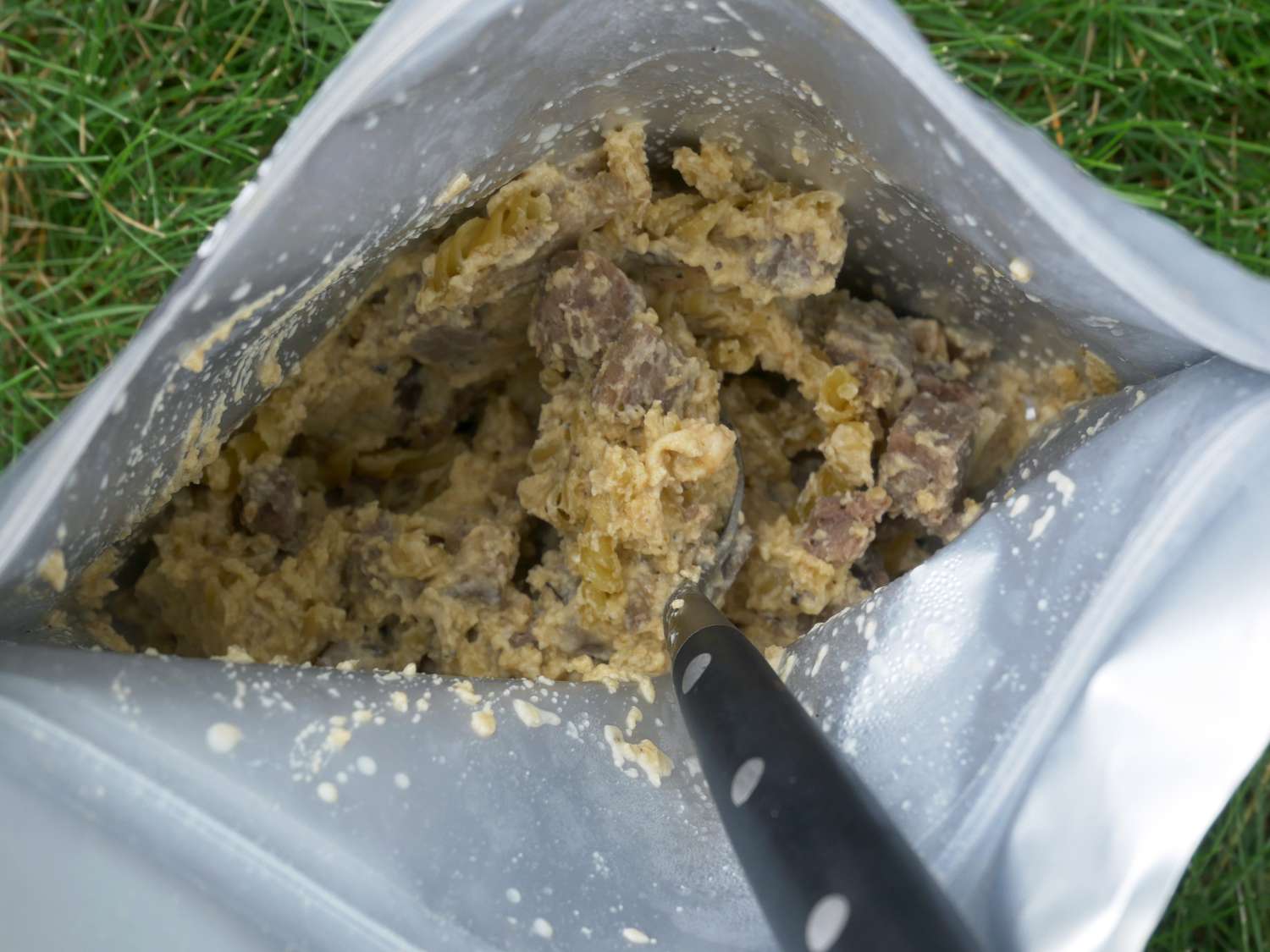 closeup of beef stroganoff in bag